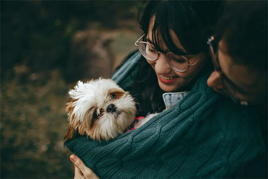 犬のフィラリア治療費用｜予防と比較した完全ガイド【2024年最新】